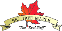 Big Tree Maple